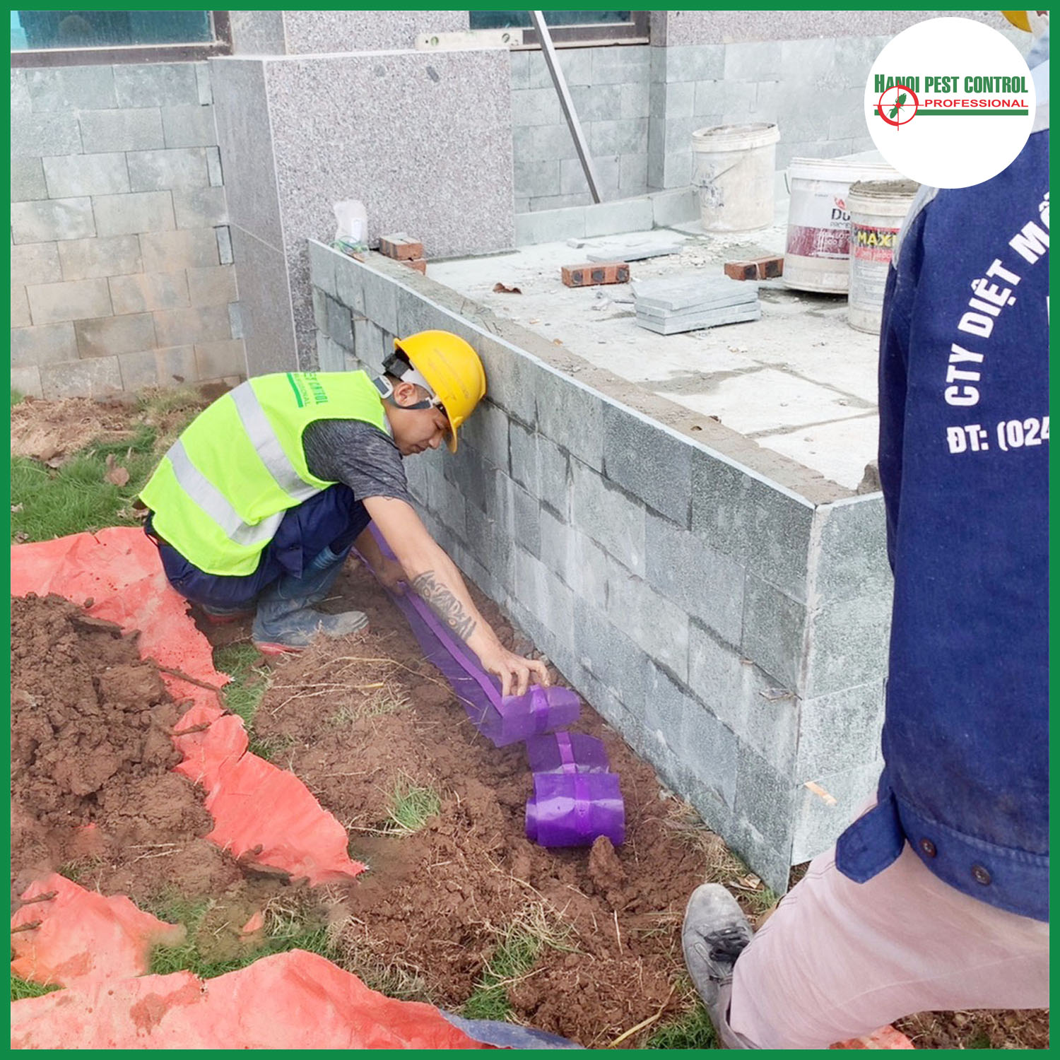 Dịch vụ diệt côn trùng - Công Ty TNHH Diệt Mối Và Khử Trùng Hà Nội